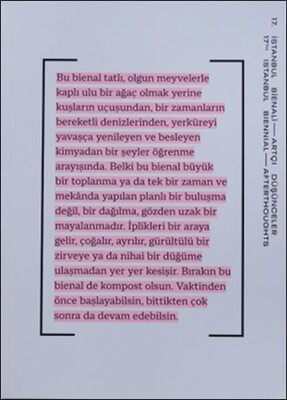 17. İstanbul Bienali – Artçı Düşünceler (Katalog) - İstanbul Kültür Sanat Vakfı