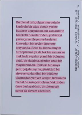 17. İstanbul Bienali – Artçı Düşünceler (Katalog) - 1