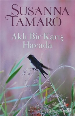 Aklı Bir Karış Havada - Can Sanat Yayınları