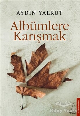 Albümlere Karışmak - Destek Yayınları