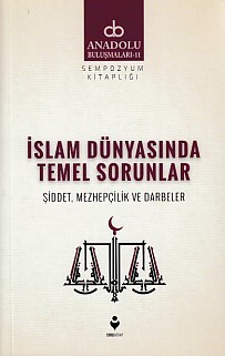 Anadolu Buluşmaları 11 - İslam Dünyasında Temel Sorunlar - Tire Kitap