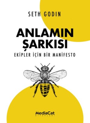 Anlamın Şarkısı - Mediacat Kitapları