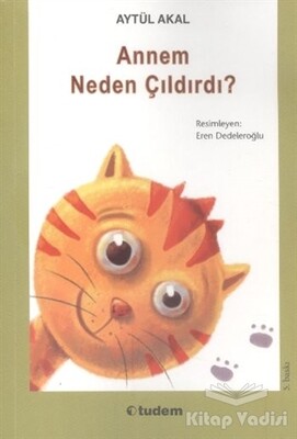 Annem Neden Çıldırdı - Tudem Yayınları