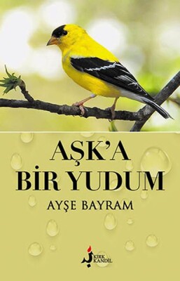 Aşk’a Bir Yudum - Kırk Kandil Yayınları