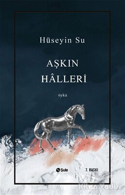 Aşkın Halleri - Şule Yayınları