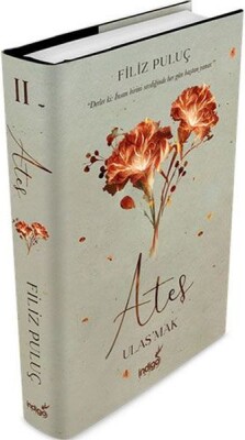 Ateş - Ulaş'mak (Ciltli) - İndigo Kitap