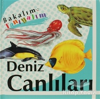 Bakalım Tanıyalım: Deniz Canlıları - Final Kültür Sanat Yayınları