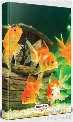 Balık Ailesi - Süresiz Planlama Defteri - Halk Kitabevi (Hobi)