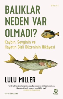 Balıklar Neden Var Olmadı? - Nova Kitap