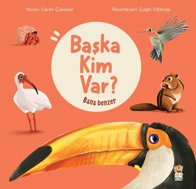 Bana Benzer - Başka Kim Var - Sincap Kitap