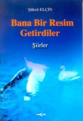 Bana Bir Resim Getirdiler - Akçağ Yayınları