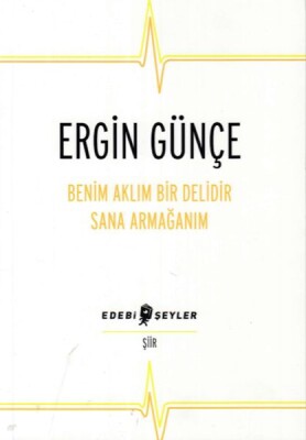 Benim Aklım Bir Delidir Sana Armağanım - Edebi Şeyler