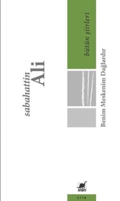 Benim Meskenim Dağlardır - Bütün Şiirleri - Ayrıntı Yayınları