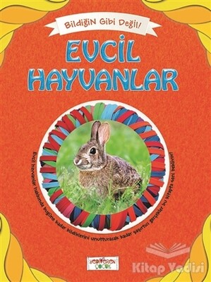 Bildiğin Gibi Değil - Evcil Hayvanlar - Yediveren Çocuk