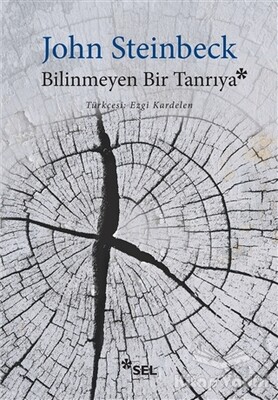 Bilinmeyen Bir Tanrıya - Sel Yayınları