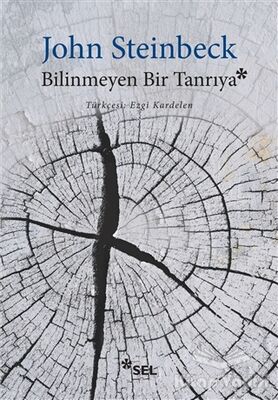 Bilinmeyen Bir Tanrıya - 1