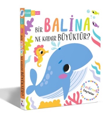 Bir Balina Ne Kadar Büyüktür? – Kaydır + Keşfet - İndigo Kitap