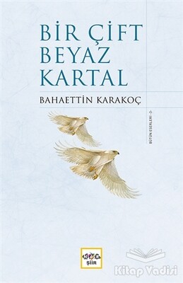 Bir Çift Beyaz Kartal - Nar Yayınları