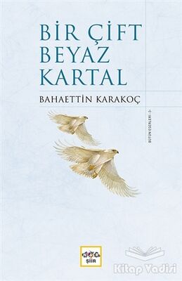 Bir Çift Beyaz Kartal - 1