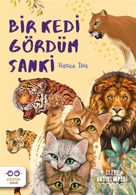 Bir Kedi Gördüm Sanki - Cezve Çocuk