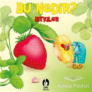 Bitkiler - Bu Nedir? - Çakıl Gülen Yüz