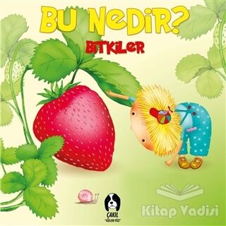 Bitkiler - Bu Nedir? - 1