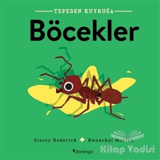 Böcekler - Tepeden Kuyruğa - Domingo Yayınevi