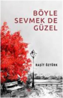 Böyle Sevmek de Güzel - Ayzıt Yayınevi