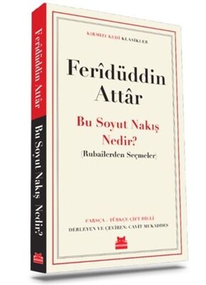 Bu Soyut Nakış Nedir? - Kırmızı Kedi Yayınevi