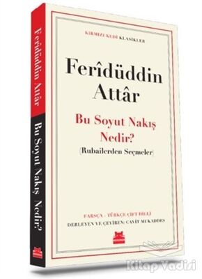 Bu Soyut Nakış Nedir? - 1