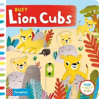 Busy Lion Cubs - İngilizce Çocuk (ASA)