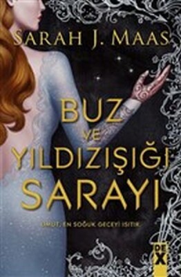 Buz ve Yıldızışığı Sarayı - Dex Yayınevi