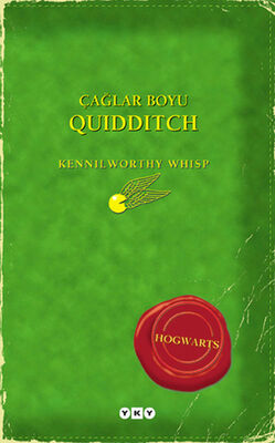 Çağlar Boyu Quidditch - 1