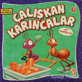 Çalışkan Karıncalar ile Tanışalım - 1