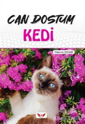 Can Dostum Kedi - 1