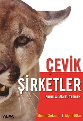 Çevik Şirketler - Alfa Yayınları