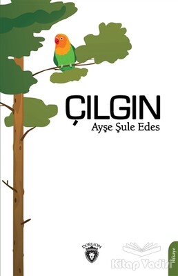 Çılgın - Dorlion Yayınları