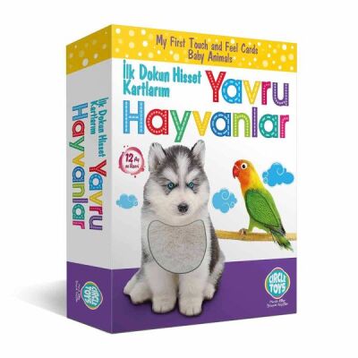 Circle Toys Dokun Hisset Tanı Yavru Hayvanlar Eğitim Kartları - 1