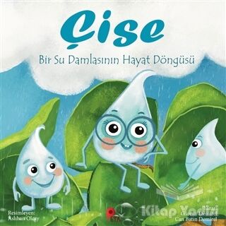 Çise: Bir Su Damlasının Hayat Döngüsü - 1