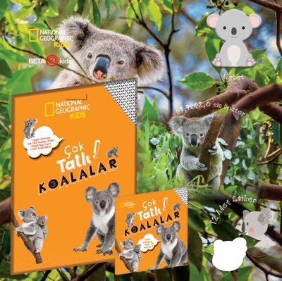 Çok Tatlı Koalalar - National Geographic Kids - Beta Kids