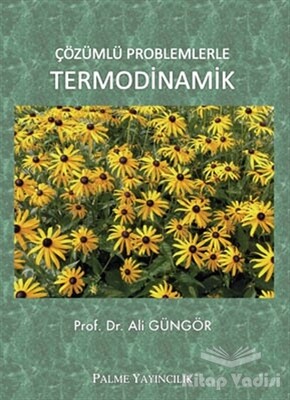 Çözümlü Problemlerle Termodinamik - Palme Yayıncılık