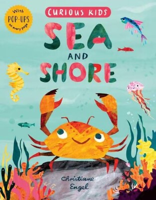 Curious Kids: Sea And Shore - Little Tiger Press