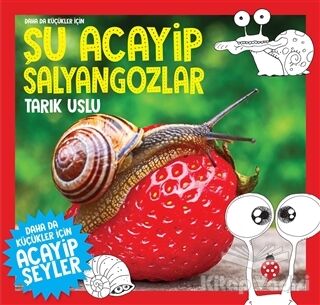 Daha da Küçükler İçin Şu Acayip Salyangozlar - 1