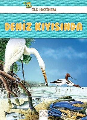 Deniz Kıyısında - İlk Hazinem - 1001 Çiçek Kitaplar