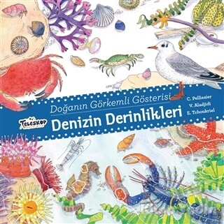 Denizin Derinlikleri - Doğanın Görkemli Gösterisi - Teleskop