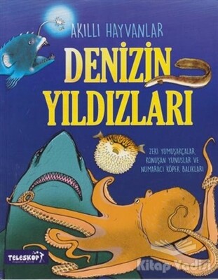 Denizin Yıldızları - Teleskop