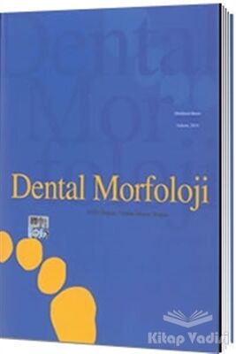 Dental Morfoloji - 1