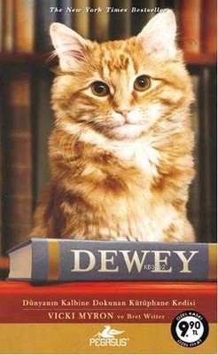 Dewey (Cep Boy) / Pegasus Yay. - 1