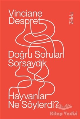 Doğru Soruları Sorsaydık Hayvanlar Ne Söylerdi? - Tellekt