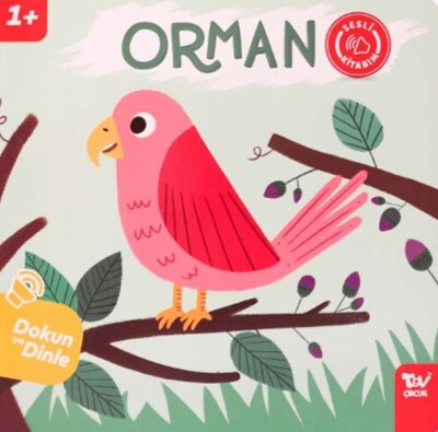 Dokun Ve Dinle Sesli Kitabım Orman - Türkiye Diyanet Vakfı Yayınları